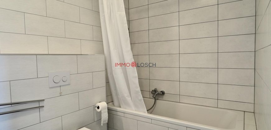 Appartement Schifflange