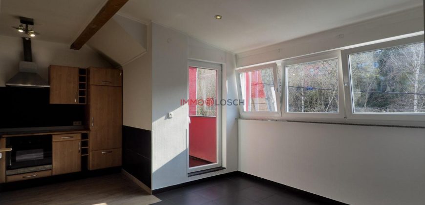 Appartement Esch-Sur-Alzette